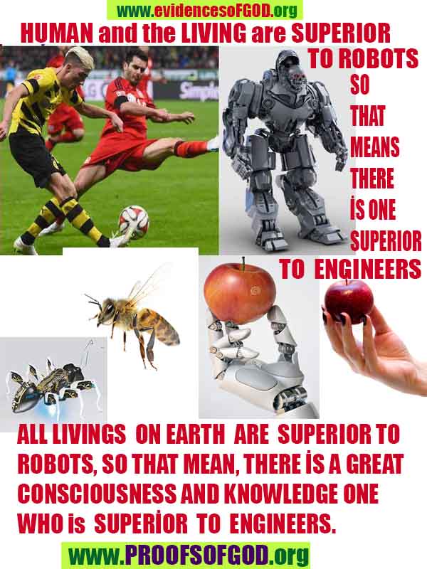 Proofs and Evidences of God, God exists proofs, God is real proofs and evidences, Proofs of God's existance