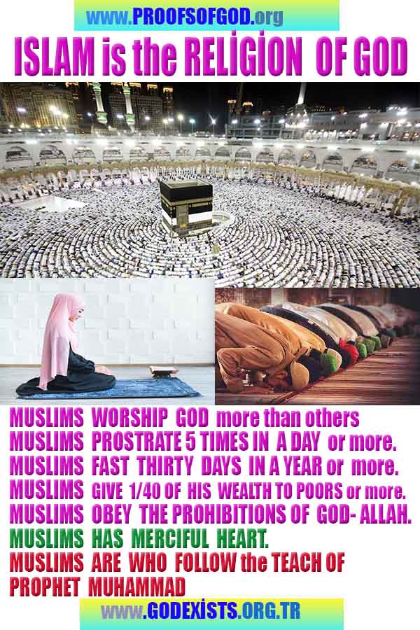 Proofs and Evidences of God, God exists proofs, God is real proofs and evidences, Proofs of God's existance