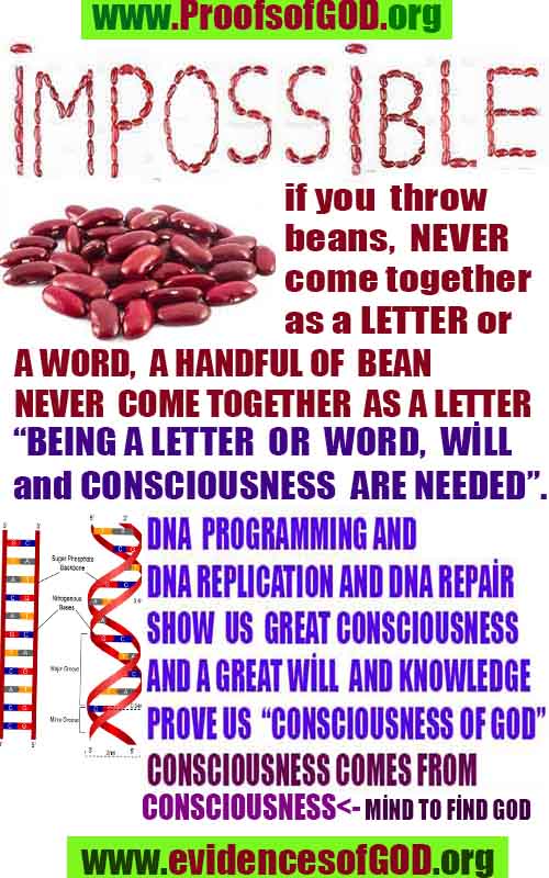 Proofs and Evidences of God, God exists proofs, God is real proofs and evidences, Proofs of God's existance