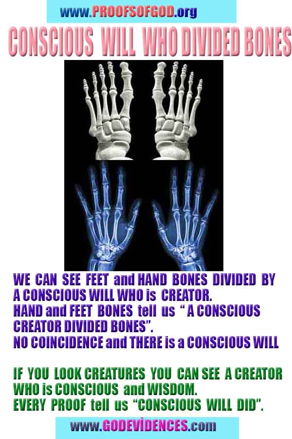 Proofs and Evidences of God, God exists proofs, God is real proofs and evidences, Proofs of God's existance