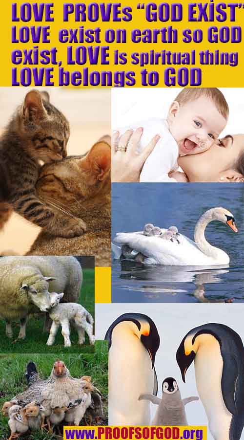 Proofs and Evidences of God, God exists proofs, God is real proofs and evidences, Proofs of God's existance