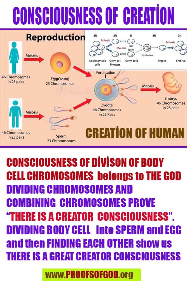 Proofs and Evidences of God, God exists proofs, God is real proofs and evidences, Proofs of God's existance