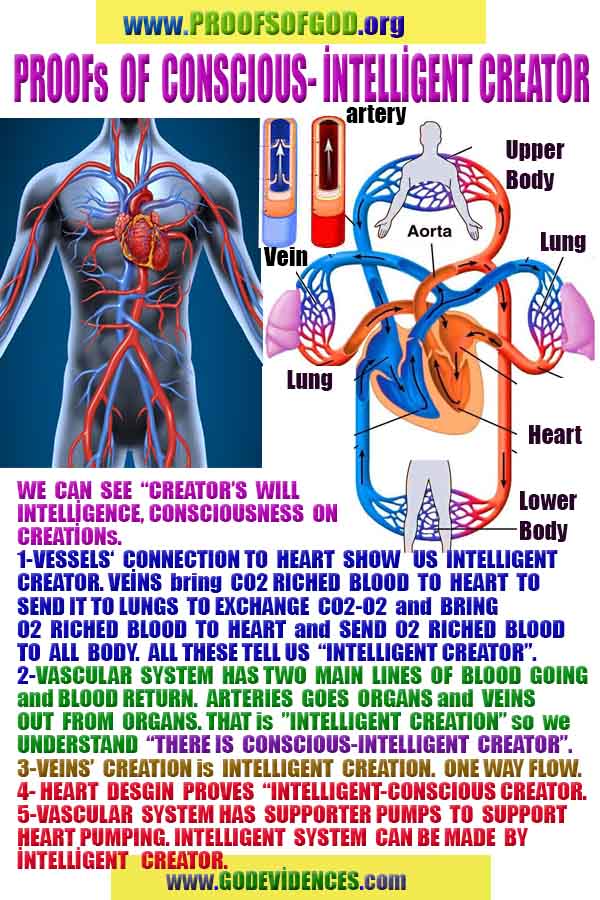 Proofs and Evidences of God, God exists proofs, God is real proofs and evidences, Proofs of God's existance