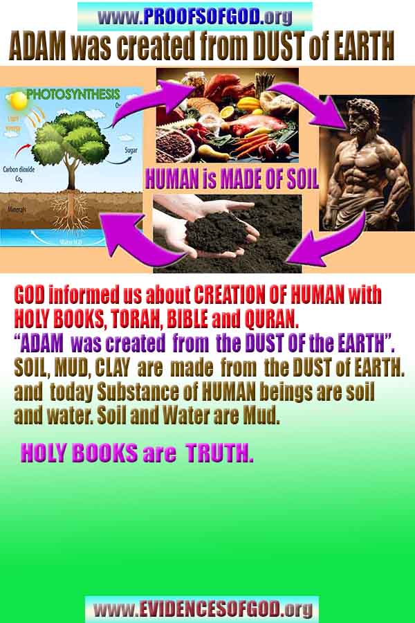 Proofs and Evidences of God, God exists proofs, God is real proofs and evidences, Proofs of God's existance