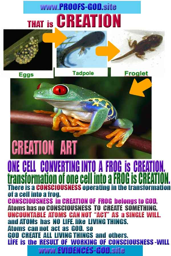 Proofs and Evidences of God, God exists proofs, God is real proofs and evidences, Proofs of God's existance