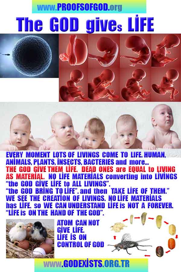 Proofs and Evidences of God, God exists proofs, God is real proofs and evidences, Proofs of God's existance