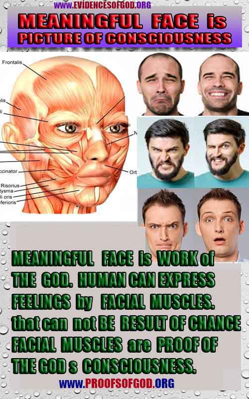 Proofs and Evidences of God, God exists proofs, God is real proofs and evidences, Proofs of God's existance