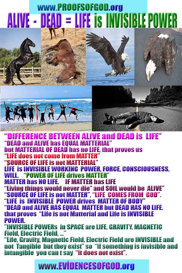 Proofs and Evidences of God, God exists proofs, God is real proofs and evidences, Proofs of God's existance