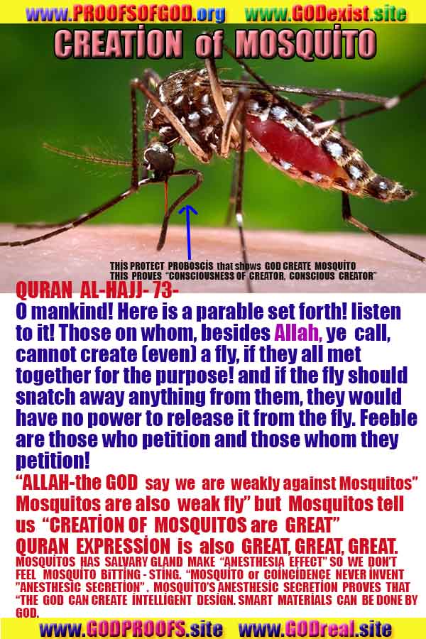 Proofs and Evidences of God, God exists proofs, God is real proofs and evidences, Proofs of God's existance