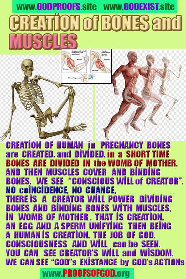 Proofs and Evidences of God, God exists proofs, God is real proofs and evidences, Proofs of God's existance