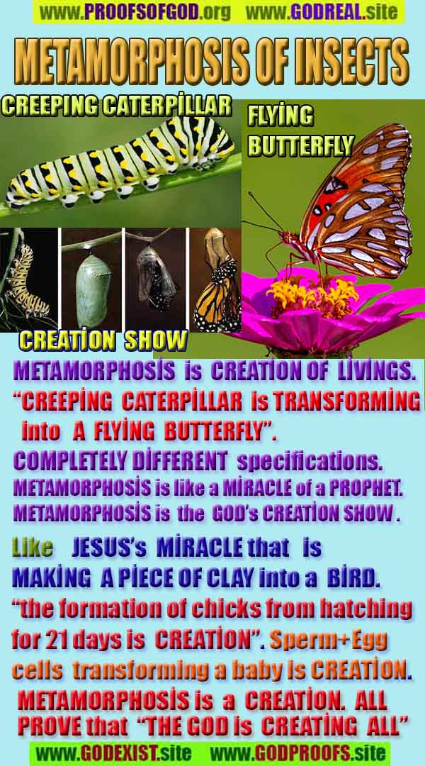 Proofs and Evidences of God, God exists proofs, God is real proofs and evidences, Proofs of God's existance