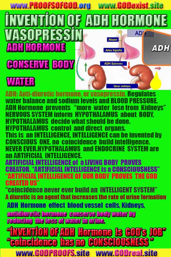 Proofs and Evidences of God, God exists proofs, God is real proofs and evidences, Proofs of God's existance