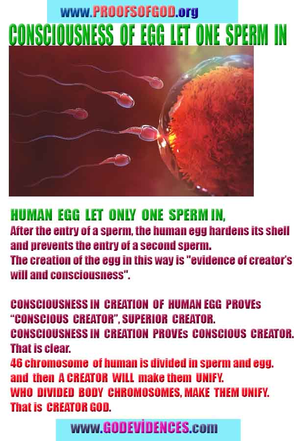 Proofs and Evidences of God, God exists proofs, God is real proofs and evidences, Proofs of God's existance