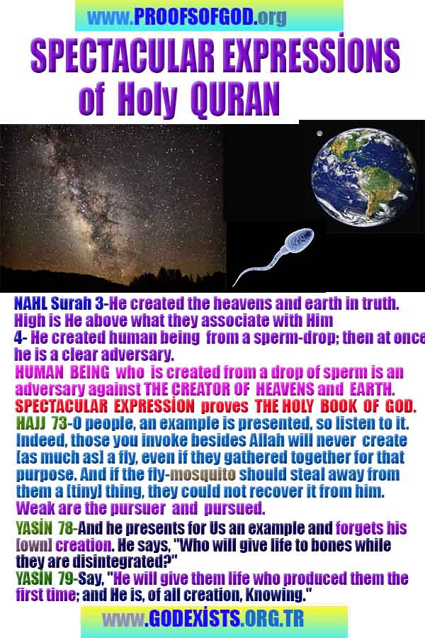 Proofs and Evidences of God, God exists proofs, God is real proofs and evidences, Proofs of God's existance