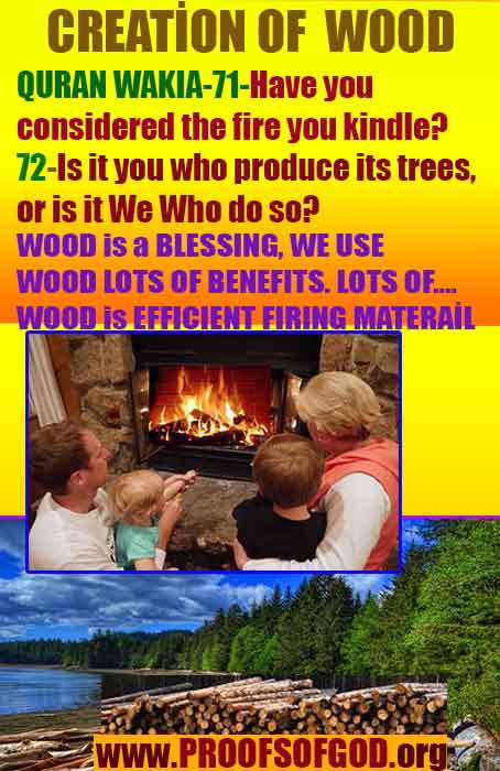 Proofs and Evidences of God, God exists proofs, God is real proofs and evidences, Proofs of God's existance