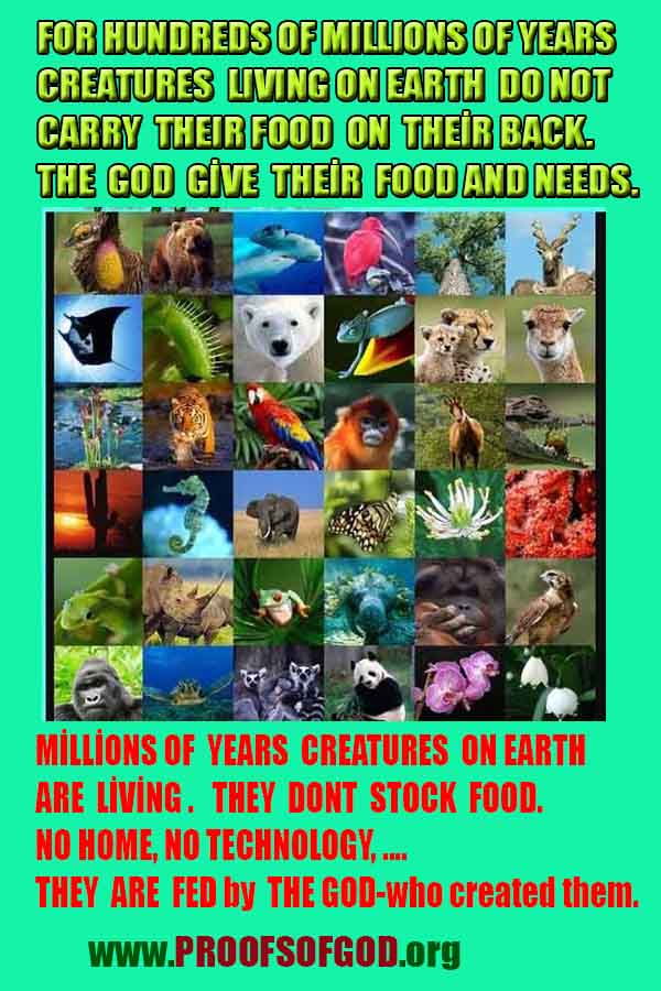 Proofs and Evidences of God, God exists proofs, God is real proofs and evidences, Proofs of God's existance