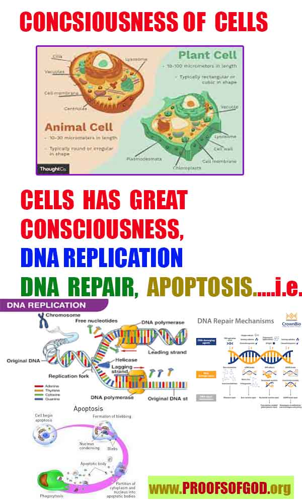Proofs and Evidences of God, God exists proofs, God is real proofs and evidences, Proofs of God's existance