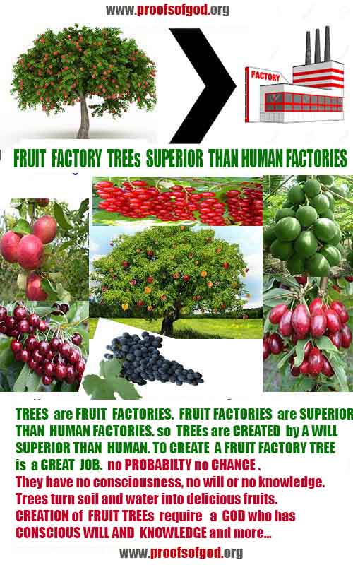 Proofs and Evidences of God, God exists proofs, God is real proofs and evidences, Proofs of God's existance