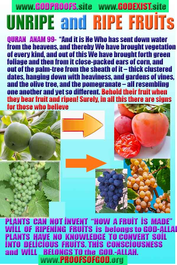 Proofs and Evidences of God, God exists proofs, God is real proofs and evidences, Proofs of God's existance